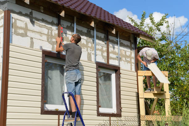 Best Brick Veneer Siding  in Waynesboro, MS