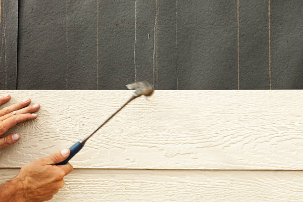Best Wood Siding Installation  in Waynesboro, MS